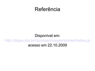 Referência Disponível em: http://digao.bio.br/rizomas/images/stories/bebes.jpg acesso em 22.10.2009 