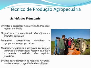 Atividades Principais
Orientar e participar nas tarefas de produção
vegetal e animal;
Organizar a comercialização dos diferentes
produtos agrícolas;
Manusear corretamente máquinas e
equipamentos agropecuários;
Programar e garantir a execução das tarefas
inerentes à alimentação, higiene, sanidade
e maneio reprodutivo das espécies
pecuárias.
Utilizar racionalmente os recursos naturais,
tendo em conta o equilíbrio bio ecológico.
Técnico de Produção Agropecuária
 