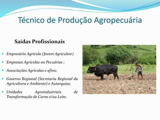 Saídas Profissionais
 Empresário Agrícola (Jovem Agricultor)
 Empresas Agrícolas ou Pecuárias ;
 Associações Agrícolas e afins;
 Governo Regional (Secretaria Regional da
Agricultura e Ambiente) e Autarquias;
 Unidades Agroindustriais de
Transformação de Carne e/ou Leite.
Técnico de Produção Agropecuária
 