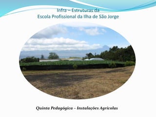 Infra – Estruturas da
Escola Profissional da Ilha de São Jorge
Quinta Pedagógica – Instalações Agrícolas
 