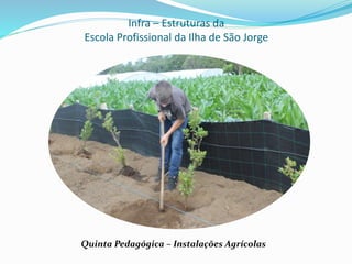 Infra – Estruturas da
Escola Profissional da Ilha de São Jorge
Quinta Pedagógica – Instalações Agrícolas
 