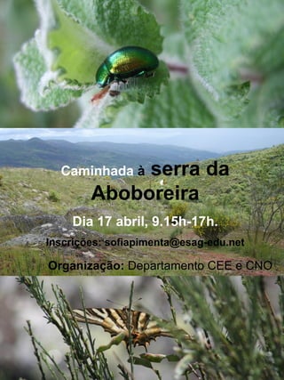Caminhada  à  serra da Aboboreira Dia 17 abril, 9.15h-17h. Inscrições: sofiapimenta@esag-edu.net Organização:  Departamento CEE e CNO 