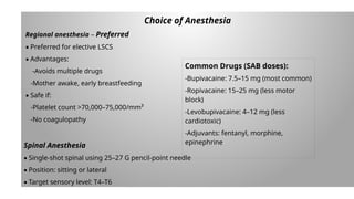 Lessi Sab DIVYA- ANEMIA-1.pptx included Anemia in pregnancy | PPTX