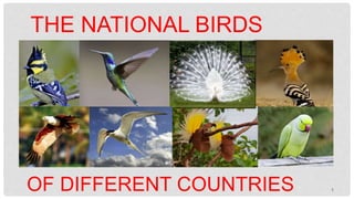 1
THE NATIONAL BIRDS
OF DIFFERENT COUNTRIES
 