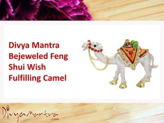 Divya Mantra
Bejeweled Feng
Shui Wish
Fulfilling Camel
 