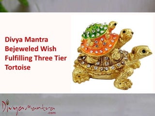 Divya Mantra
Bejeweled Wish
Fulfilling Three Tier
Tortoise
 