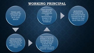 WORKING PRINCIPAL
TIDES ARE
CREATED BY
ACTION OF
SUN AND
MOON
TIDAL BARAGES
ARE BUILT ACROSS
THE PASSAGE OF
TIDES TO EXTRACT
ENERGY FROM
RISE AND FALL OF
TIDES
THE POTENTIAL
ENERGY DUE TO
DIFFERENCE IN
WATER HEIGHT
ACROSS THE
BARAGE IS
CONVERTED INTO
KINETIC ENERGY
THIS KINETIC
ENERGY IS
CONVERTED
INTO
ROTATIONAL
ENERGY BY
BLADES OF
TURBINE
ROTATING
TURBINE IS
COUPLED WITH
GENERATOR TO
PRODUCE THE
ELECTRICITY
 