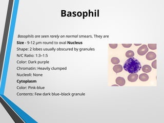 Peripheral blood smear pathology........... | PPTX