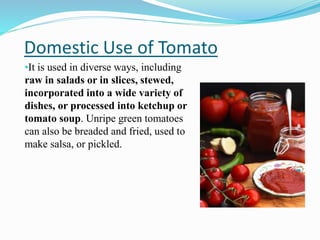 Domestic Use of Tomato
•It is used in diverse ways, including
raw in salads or in slices, stewed,
incorporated into a wide...