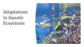 Adaptations
in Aquatic
Ecoystems
 