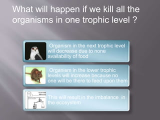 What will happen if we kill all the 
organisms in one trophic level ? 
Organism in the next trophic level 
will decrease due to none 
availability of food 
Organism in the lower trophic 
levels will increase because no 
one will be there to feed upon them 
This will result in the imbalance in 
the ecosystem 
 