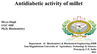 Antidiabetic activity of millet
Divya Singh
UGC-SRF
Ph.D. Biochemistry
Department of Biochemistry & Biochemical Engineering JSBB
Sam Higginbottom University of Agriculture, Technology & Sciences
Prayagraj, U.P., India
2021
 