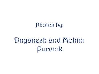 Photos by:

Dnyanesh and Mohini
Puranik

 