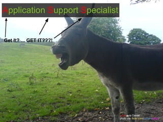 Application Support Specialist


Get It? ... GET IT???!




                                  spice  via Daniel
                                 photo via: flickr.com/people/alces/
 