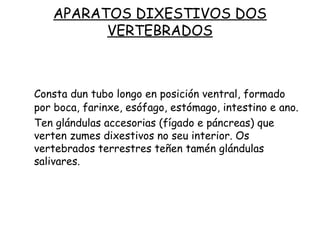 APARATOS DIXESTIVOS DOS
VERTEBRADOS
Consta dun tubo longo en posición ventral, formado
por boca, farinxe, esófago, estómago, intestino e ano.
Ten glándulas accesorias (fígado e páncreas) que
verten zumes dixestivos no seu interior. Os
vertebrados terrestres teñen tamén glándulas
salivares.
 