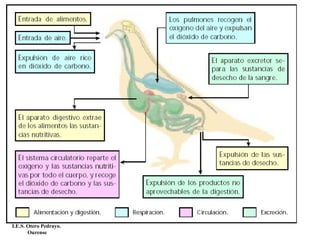 I.E.S. Otero Pedrayo.
Ourense
 