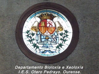 Departamento Bioloxía e Xeoloxía
I.E.S. Otero Pedrayo. Ourense.
 