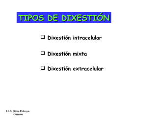 TIPOS DE DIXESTIÓNTIPOS DE DIXESTIÓN
 Dixestión intracelular
 Dixestión mixta
 Dixestión extracelular
I.E.S. Otero Pedrayo.
Ourense
 