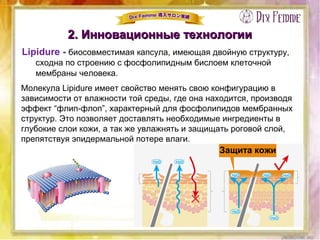2. Инновационные технологии2. Инновационные технологии
Lipidure - биосовместимая капсула, имеющая двойную структуру,
сходна по строению с фосфолипидным бислоем клеточной
мембраны человека.
Молекула Lipidure имеет свойство менять свою конфигурацию в
зависимости от влажности той среды, где она находится, производя
эффект “флип-флоп”, характерный для фосфолипидов мембранных
структур. Это позволяет доставлять необходимые ингредиенты в
глубокие слои кожи, а так же увлажнять и защищать роговой слой,
препятствуя эпидермальной потере влаги.
Защита кожи
 