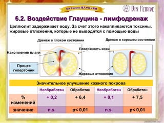 Значительное улучшение кожного покрова
Поверхность кожи
Жировые отложения
Процес
гипертонии
Накопление влаги
Дренаж в плохом состоянии Дренаж в хорошем состоянии
6.2. Воздействие Глауцина - лимфодренаж6.2. Воздействие Глауцина - лимфодренаж
Необработан Обработан Необработан Обработан
%
изменений
+ 0,2 + 6,4 + 0,1 + 7,5
значение n.s. р< 0,01 n.s. р< 0,01
Целлюлит задерживает воду. За счет этого накапливаются токсины,
жировые отложения, которые не выводятся с помощью воды
 