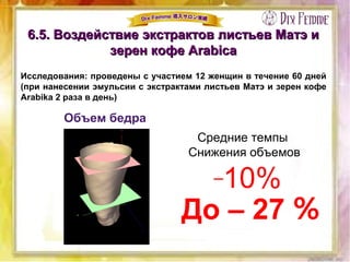 Объем бедра
Средние темпы
Снижения объемов
–10%
До – 27 ％
Исследования: проведены с участием 12 женщин в течение 60 дней
(при нанесении эмульсии с экстрактами листьев Матэ и зерен кофе
Arabika 2 раза в день)
6.5. Воздействие экстрактов листьев Матэ и6.5. Воздействие экстрактов листьев Матэ и
зерен кофе Arabicaзерен кофе Arabica
 