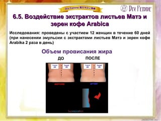 6.5. Воздействие экстрактов листьев Матэ и6.5. Воздействие экстрактов листьев Матэ и
зерен кофе Arabicaзерен кофе Arabica
Исследования: проведены с участием 12 женщин в течение 60 дней
(при нанесении эмульсии с экстрактами листьев Матэ и зерен кофе
Arabika 2 раза в день)
Объем провисания жира
ДО ПОСЛЕ
 