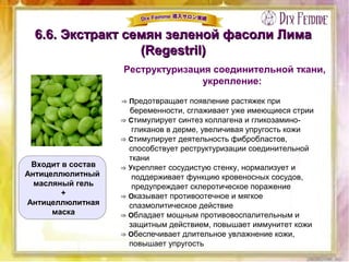 6.6. Экстракт семян зеленой фасоли Лима6.6. Экстракт семян зеленой фасоли Лима
(Regestril)(Regestril)
Реструктуризация соединительной ткани,
укрепление:
⇒ Предотвращает появление растяжек при
беременности, сглаживает уже имеющиеся стрии
⇒ Стимулирует синтез коллагена и гликозамино-
гликанов в дерме, увеличивая упругость кожи
⇒ Стимулирует деятельность фибробластов,
способствует реструктуризации соединительной
ткани
⇒ Укрепляет сосудистую стенку, нормализует и
поддерживает функцию кровеносных сосудов,
предупреждает склеротическое поражение
⇒ Оказывает противоотечное и мягкое
спазмолитическое действие
⇒ Обладает мощным противовоспалительным и
защитным действием, повышает иммунитет кожи
⇒ Обеспечивает длительное увлажнение кожи,
повышает упругость
Входит в состав
Антицеллюлитный
масляный гель
+
Антицеллюлитная
маска
 