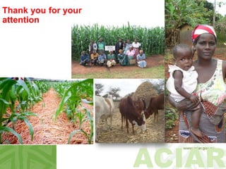 ACIAR
Thank you for your
attention
 