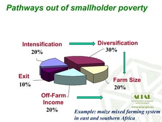 Pathways out of smallholder poverty
Intensification
20%
Diversification
30%
Exit
10%
Off-Farm
Income
20%
Farm Size
20%
Example: maize mixed farming system
in east and southern Africa
 