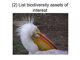 (2) List biodiversity assets of
interest
 