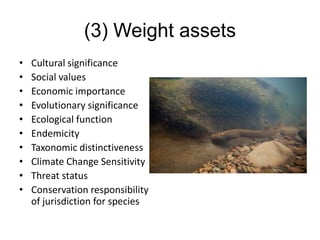 (3) Weight assets
• Cultural significance
• Social values
• Economic importance
• Evolutionary significance
• Ecological function
• Endemicity
• Taxonomic distinctiveness
• Climate Change Sensitivity
• Threat status
• Conservation responsibility
of jurisdiction for species
 