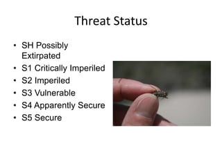 Threat Status
• SH Possibly
Extirpated
• S1 Critically Imperiled
• S2 Imperiled
• S3 Vulnerable
• S4 Apparently Secure
• S5 Secure
 