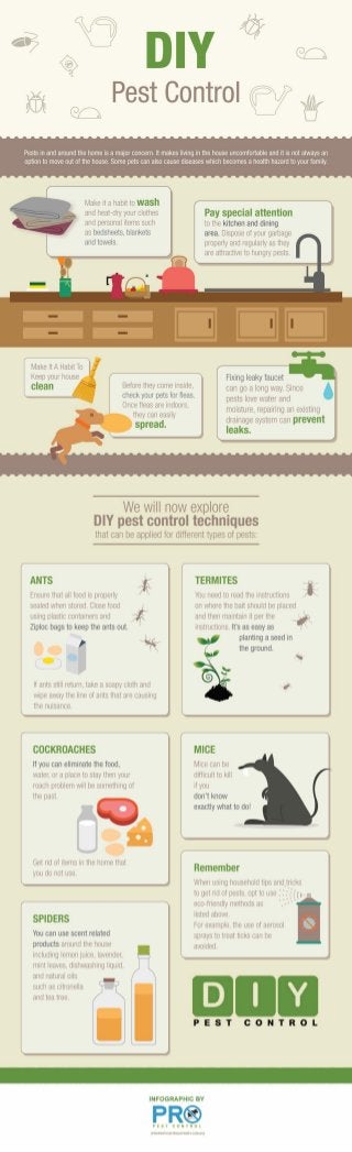 DIY Pest Control Infographic