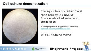 Cell culture demonstration
Primary culture of chicken foetal
heart cells by DIY-DMEM:
Successful cell adhesion and
prolife...
