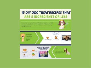 DIY Dog Treat Recipes