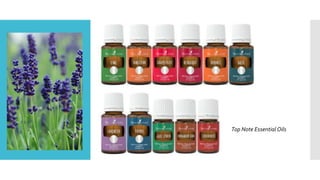 Top Note Essential Oils
 
