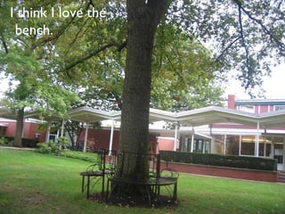 I think I love the bench. 