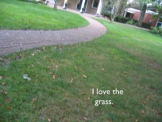 I love the grass. 