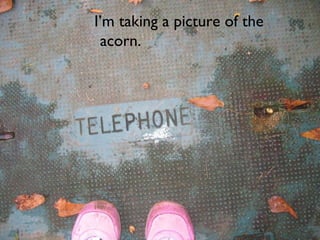I’m taking a picture of the acorn. 