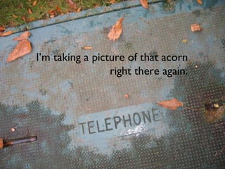 I’m taking a picture of that acorn right there again. 