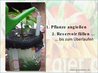 1. Pflanze angießen 2. Reservoir füllen … …  bis zum Überlaufen www.growtainer.de 