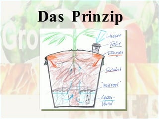 Das Prinzip 