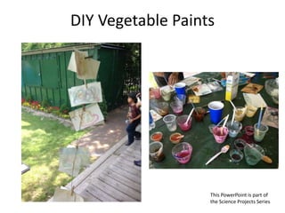 DIY Vegetable Paints
This PowerPoint is part of
the Science Projects Series
 