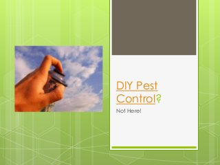DIY Pest
Control?
Not Here!
 