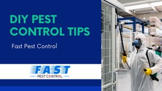 DIY PEST
CONTROL TIPS
Fast Pest Control
 