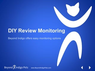 DIY Review Monitoring
Beyond Indigo offers easy monitoring options

www.BeyondIndigoPets.com

 