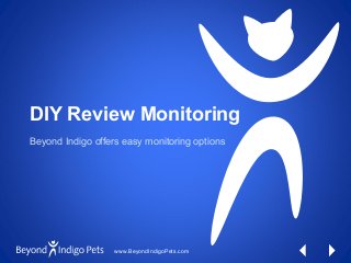 www.BeyondIndigoPets.com
DIY Review Monitoring
Beyond Indigo offers easy monitoring options
 