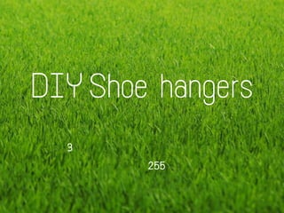 DIY Shoe hangers
3

255

 