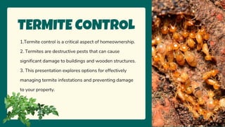 DIY Termite Treatment at Home PPT