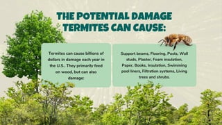 DIY Termite Treatment at Home PPT